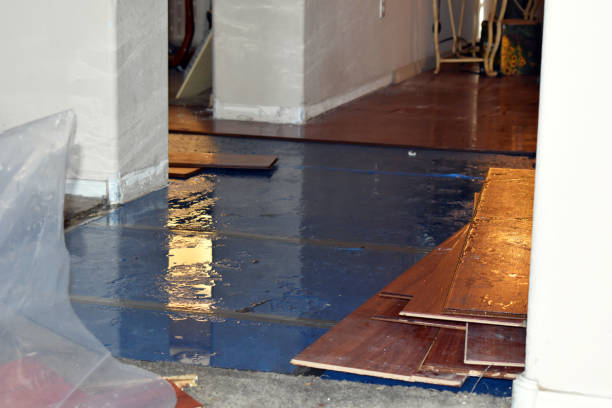 Professional Burst Pipe Cleanup technician working in Conroe, TX